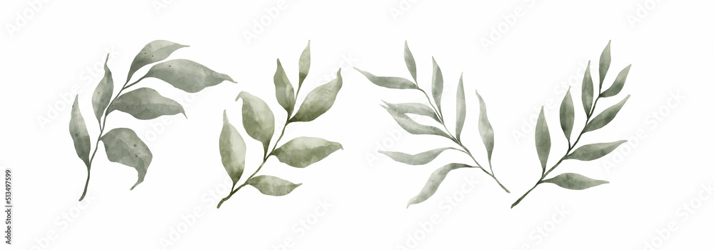 Greenery Leaves Watercolor Hand Drawn. Set of green leaf in watercolor style isolated on white background. Decorative beauty elegant illustration collection for design Greenery Leaves Watercolor Hand Drawn. Set of green leaf in watercolor style isolated on white background. Decorative beauty elegant illustration collection for design