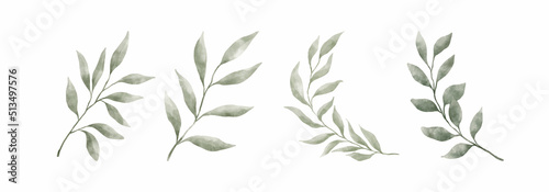 Greenery Leaves Watercolor Hand Drawn. Set of green leaf in watercolor style isolated on white background. Decorative beauty elegant illustration collection for design