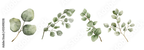 Greenery Leaves Eucalyptus Watercolor Hand Drawn. Set of green leaf in watercolor style isolated on white background. Decorative beauty elegant illustration collection for design