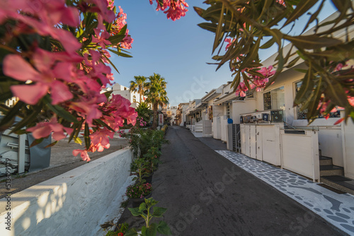 Streets and buildings in the street of Fira (Thera) city on the island of Santorini, Greece.