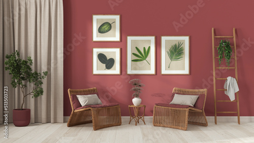 Modern living room in white and red tones. Rattan armchairs with pillows, curtains, wooden ladder and potted plants. Frame and parquet floor, front view. Vintage interior design