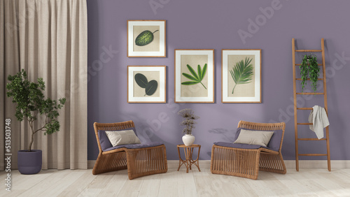 Modern living room in white and purple tones. Rattan armchairs with pillows, curtains, wooden ladder and potted plants. Frame and parquet floor, front view. Vintage interior design