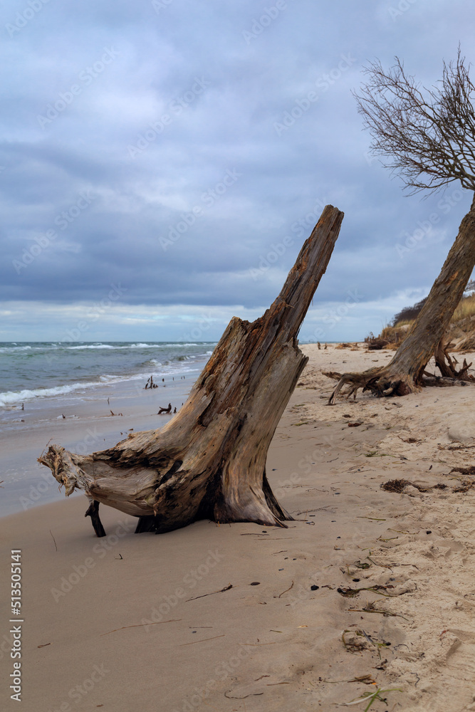 The west beach of Prerow during autumn storms.
