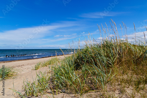 Fototapeta Naklejka Na Ścianę i Meble -  The beautiful side of the Baltic Sea.