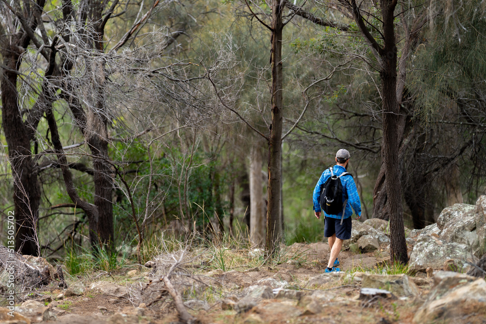 man hiking in the forest man hiking in the forest