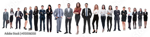 panoramic photo of a professional numerous business team