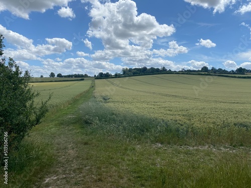 British summer, countriside landscape in a sunny day, some white cloud on the horison about the fields, relazing background photo