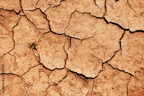 Dry ground as background. Climate change and global warming concept. Top view of cracked soil during drought season in arid climate landscape.