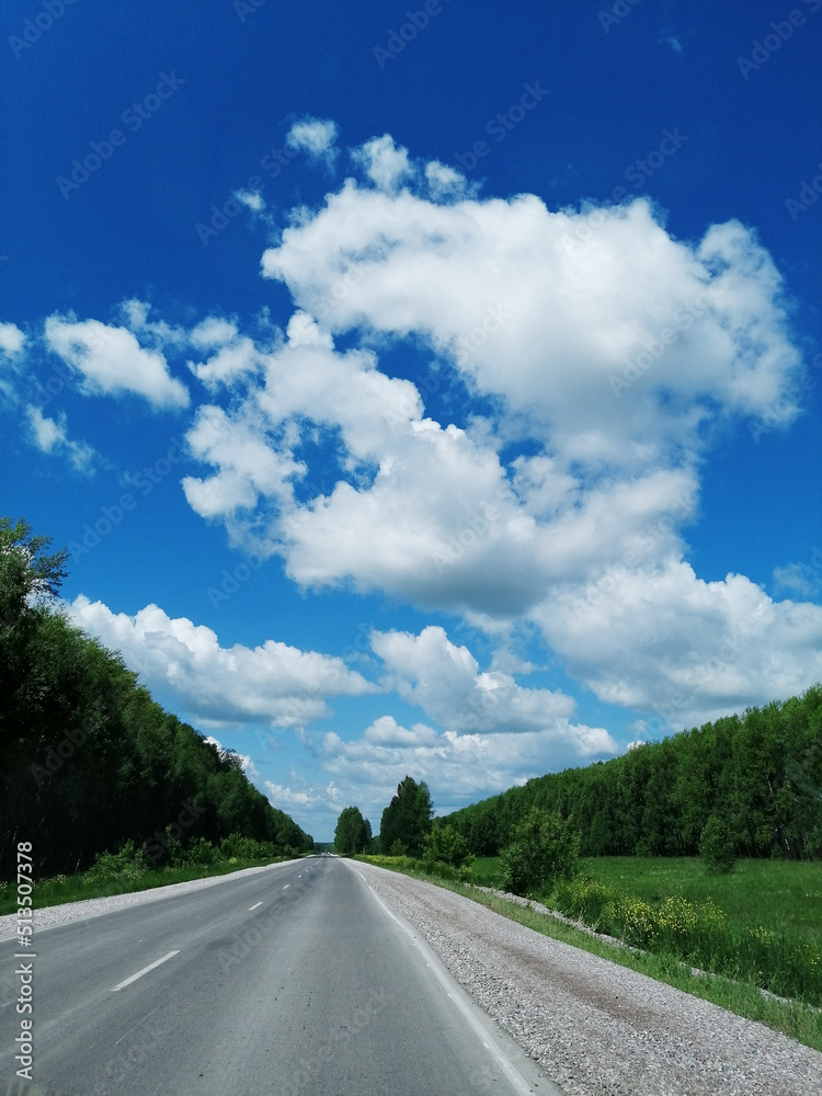 Fototapeta premium white clouds in the vast blue sky, road ahead with greenery on the sides, summer travel