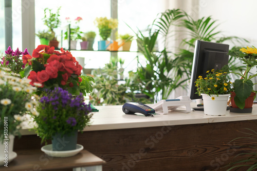 Florist shop interior with beautiful flowering plants