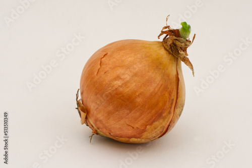 Onion sprouting