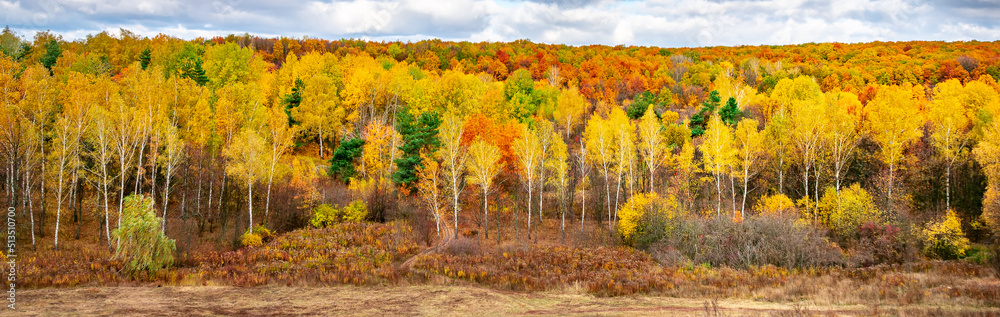 Fototapeta premium Amazing view of colorful autumn trees. Concept for fall background.Artistic picture. Beauty world. Panoramic view.
