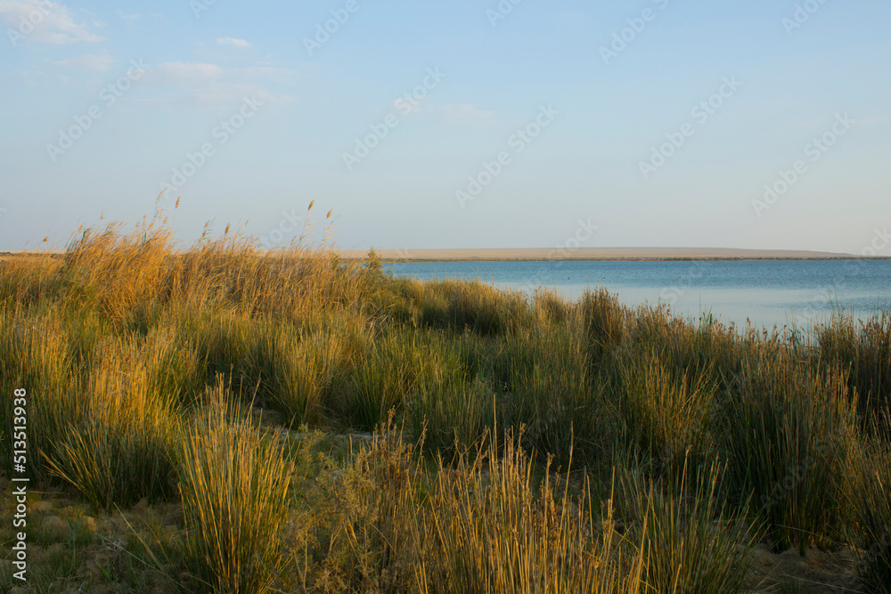 Beautiful Panorama Of Wadi El Rayan lake shore - Magic Lake, at the sunset, Fayoum, Egypt