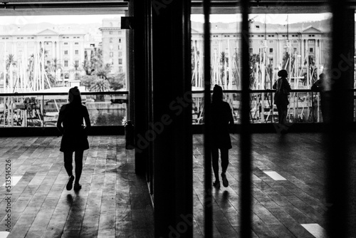 reflections in the mirror artistic motif, on summer days