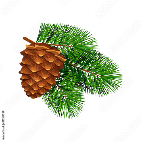 Pine Cone clip art preview