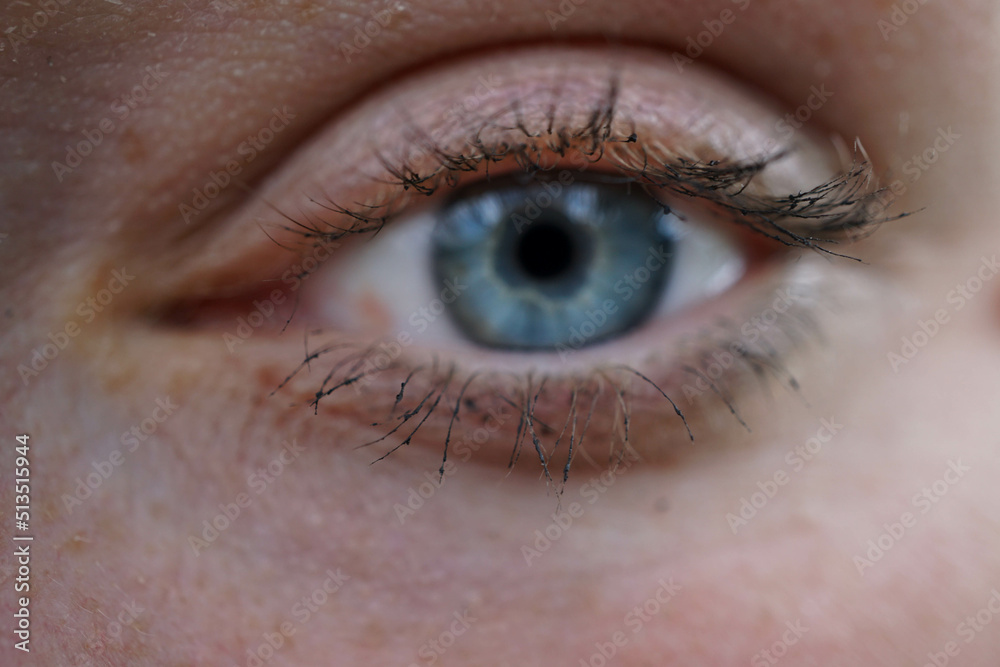 Fototapeta premium Blue eye