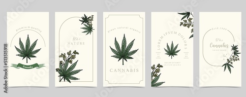 Collection of green cannabis background
