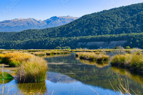 Clear water with reeds in the Rakatu Wetlands, adjacent to the Waiau River, Manapouri, Fiordland, South Island, New Zealand. High mountains of Fiordland in the background 
