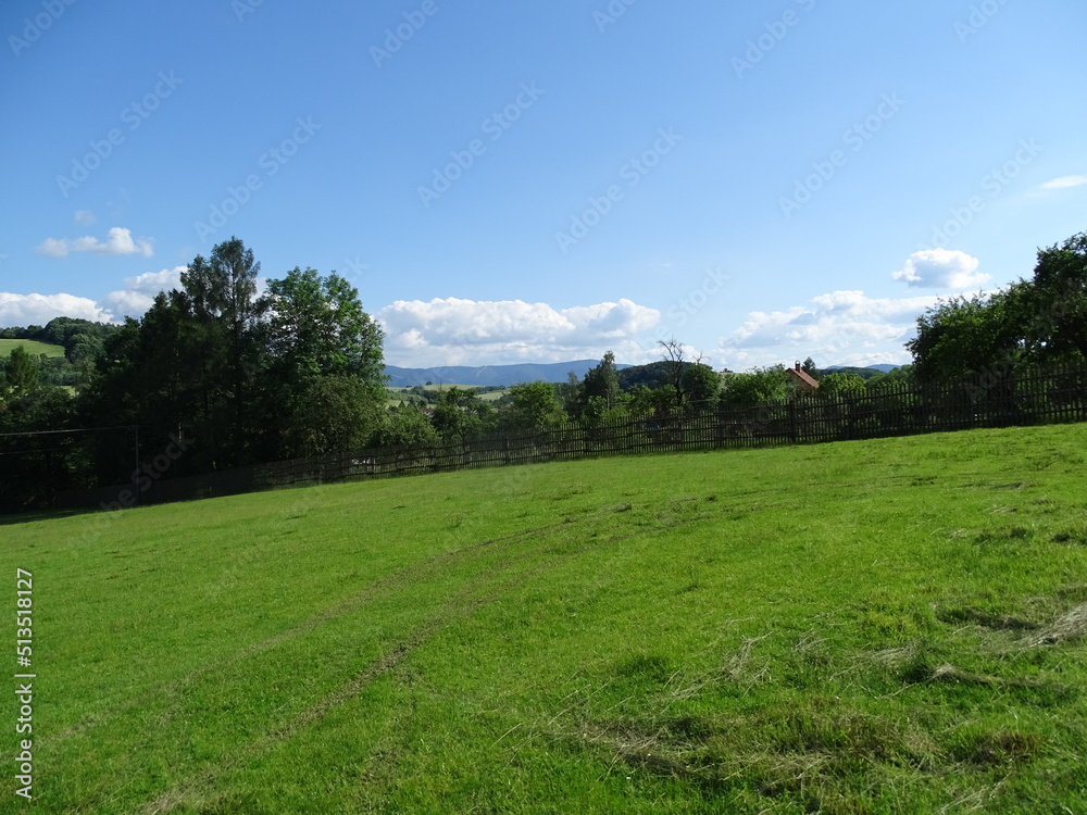 landscape with grass and sky landscape with grass and sky