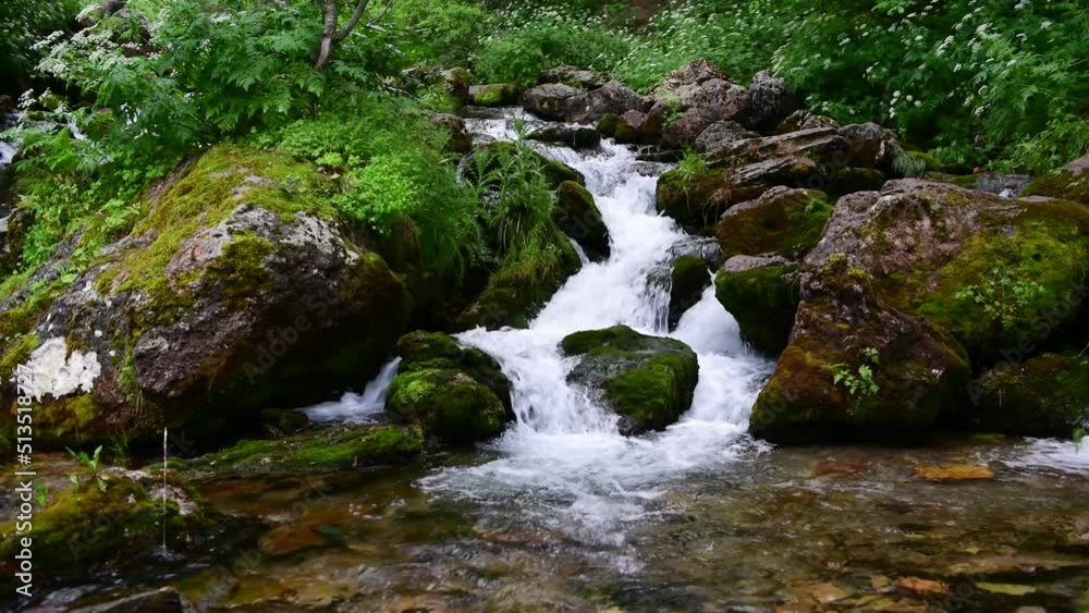 River River