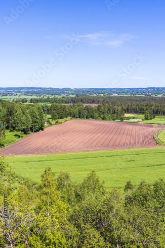 Plowed field in a rural landscape
