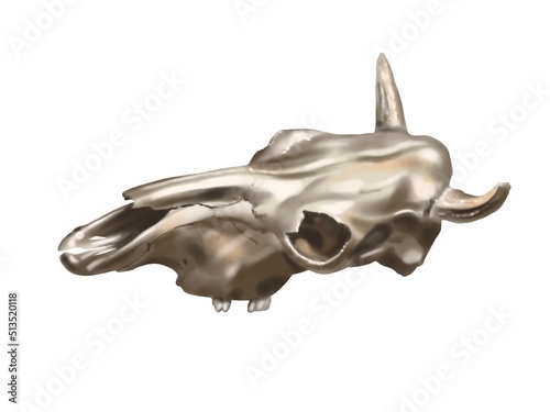 Watercolor illustration of a buffalo skull. Realistic animal skull. Wild West