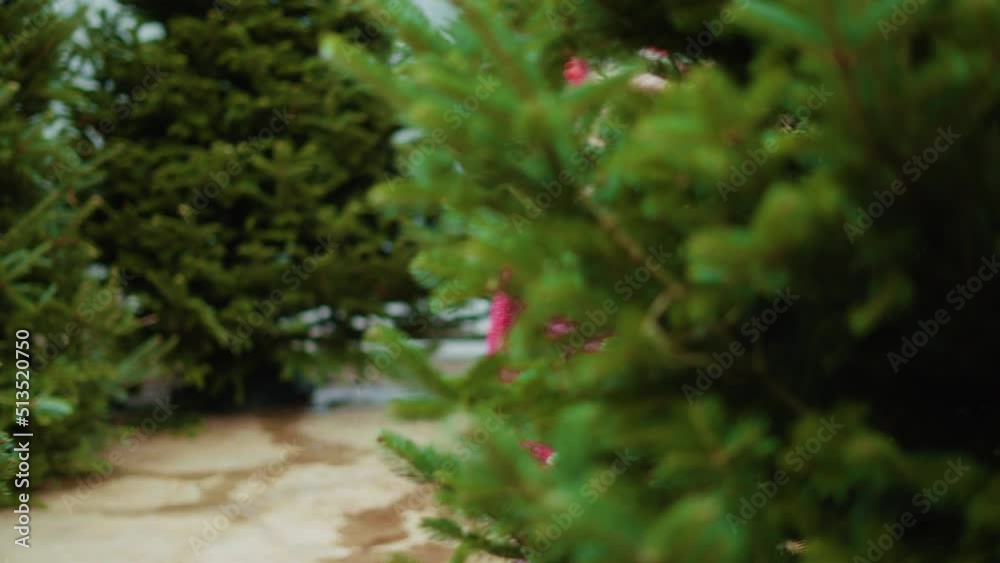 Little girl in red dress at the Christmas tree farm. Little girl in red dress at the Christmas tree farm.