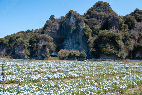 ネモフィラと競秀峰・青の洞門