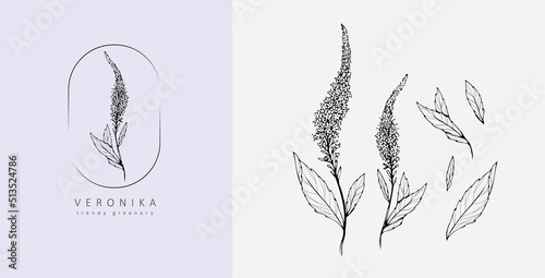 Set of luxury flowers and logo. Trendy botanical elements. Hand drawn line leaves branches and blooming. Wedding elegant wildflowers for invitation save the date card. Vector photo