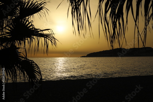 Gold Sunset on sea and Backlight on palm tree