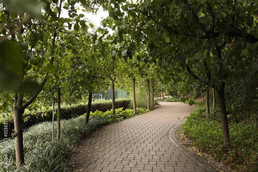 Curved path in a park with trees and plantation