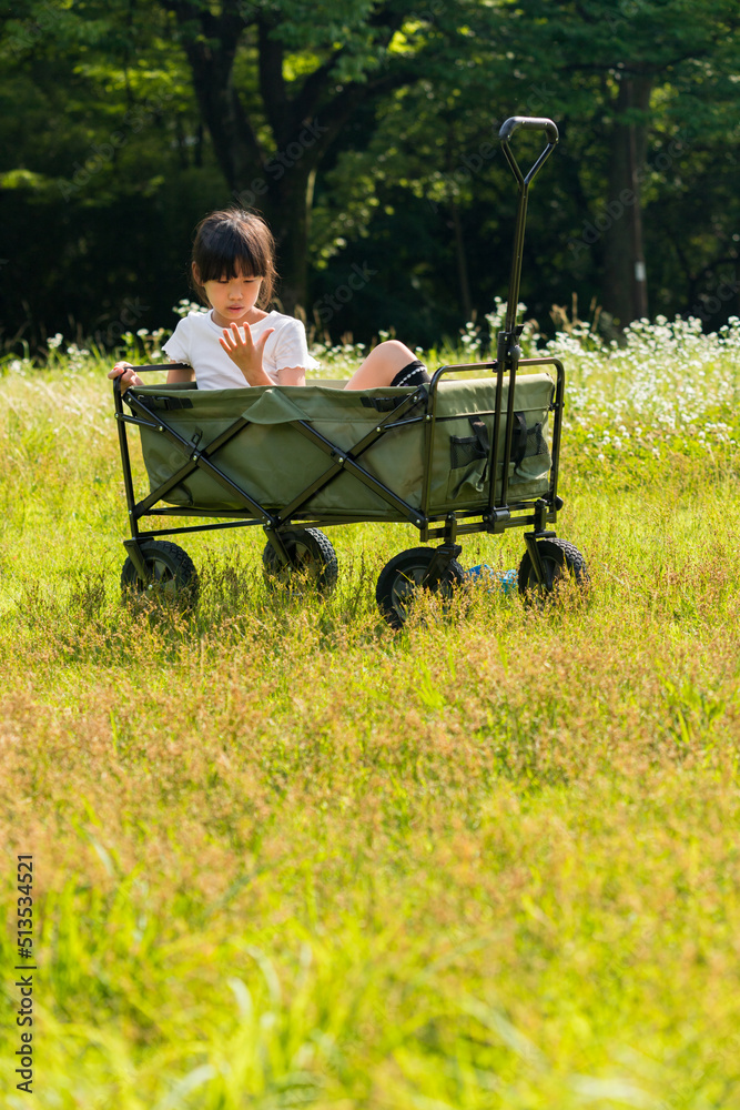 Obraz premium 夏の公園でキャリーワゴンを運んでいる小学生の女の子の様子