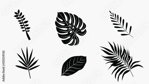 Natural summer leafs elements collection isolated background