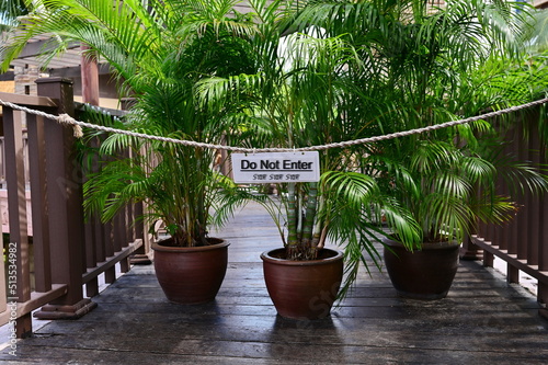Prohibition sign saying "Do Not Enter" and "stop" written in black ink on a white background. A sign hangs on a rope fence at a wooden bridge with a Macarthurs Palm in a pot behind three pots. 
