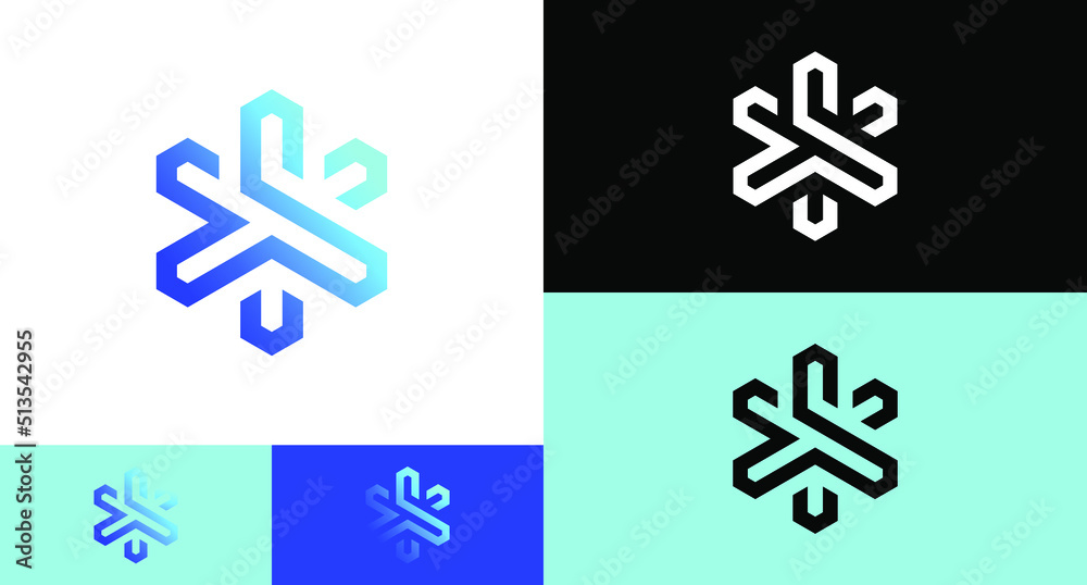 Fototapeta premium ice snowflakes geometric Logo Design Concept 