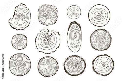 Tree rings vector illustrations set