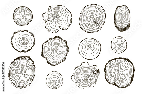 Tree rings vector illustrations set