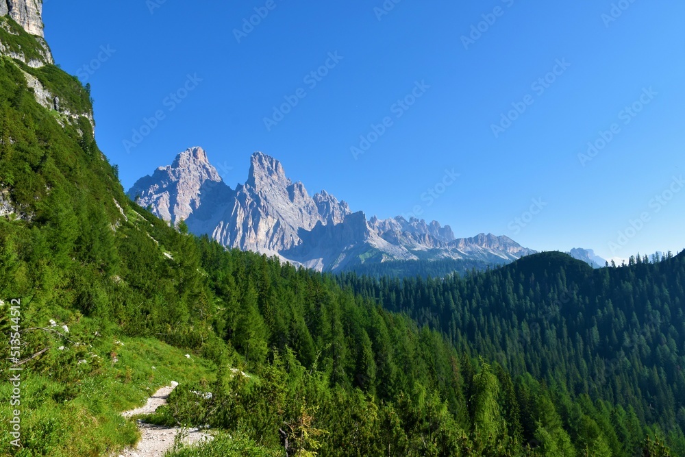 Fototapeta premium Monte Cristallo mountain peak in the Dolomite Alps in Veneto region and Belluno province in Italy and mountain slopes covered in larch (Larix decidua) forest