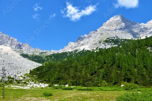 Alpine meadow and larch forest covered slopes in Dolomite Mountains near near Cortina d ampezzo at Sorapis