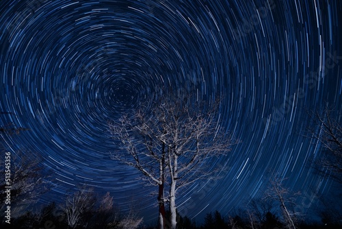 Wonderful star trail blue night sky with leafless trees in front, a time-lapse shot photo