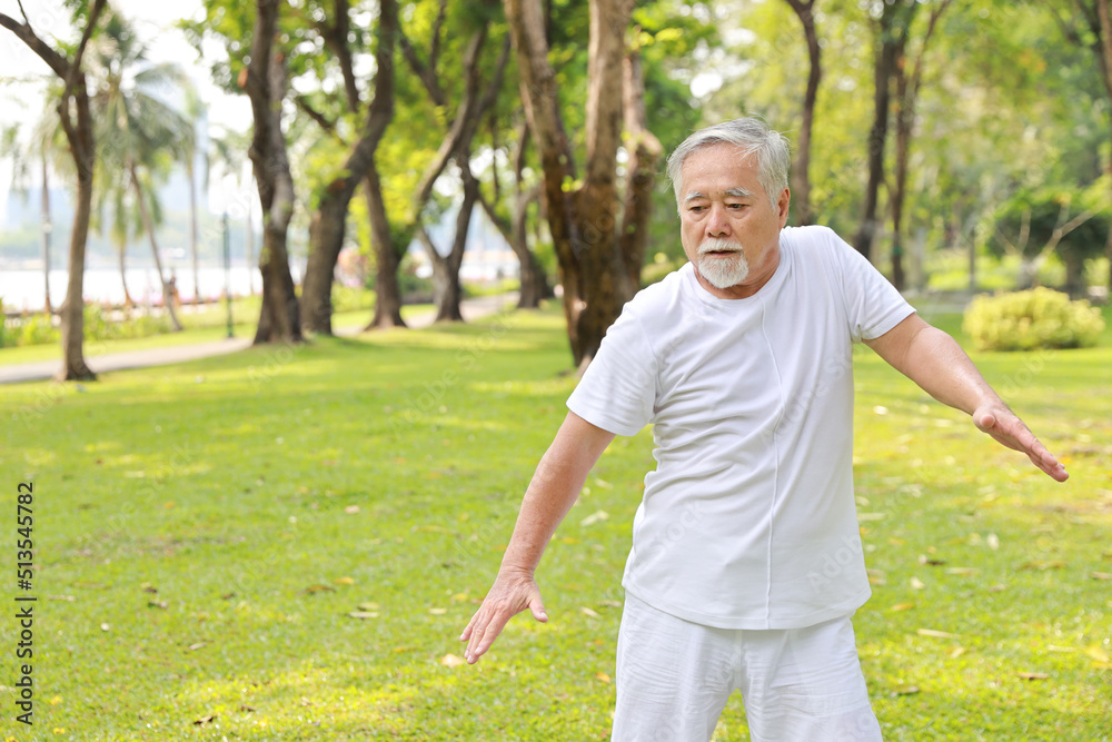 Asian senior man practice yoga excercise, tai chi tranining, stretching and meditation together with relaxation for healthy in park outdoor after retirement. Happy elderly outdoor lifestyle concept Asian senior man practice yoga excercise, tai chi tranining, stretching and meditation together with relaxation for healthy in park outdoor after retirement. Happy elderly outdoor lifestyle concept