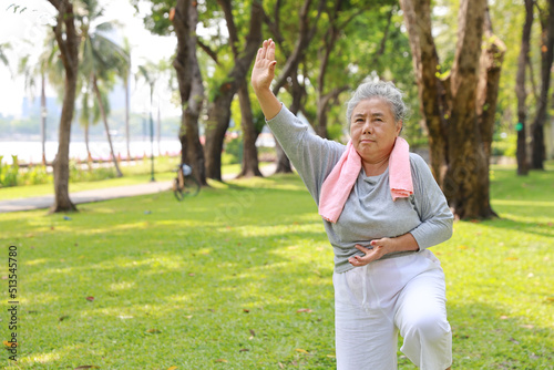 Asian senior woman practice yoga excercise  tai chi tranining  stretching and meditation together with relaxation for healthy in park outdoor after retirement. Happy elderly outdoor lifestyle concept