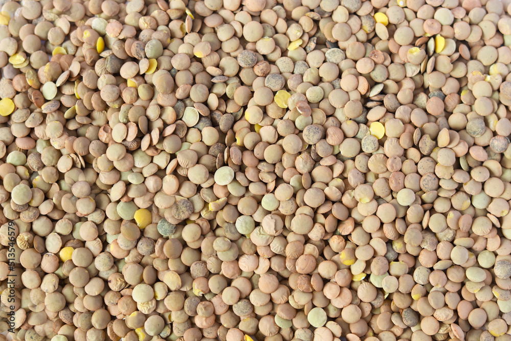 Green lentils pattern as background. Natural organic lentils. Top view. Copy space.