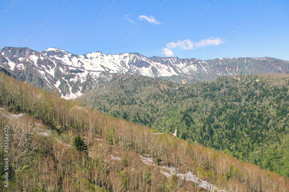 Mountains and trees in Daisetsuzan National Park on Hokkaido Island in the spring