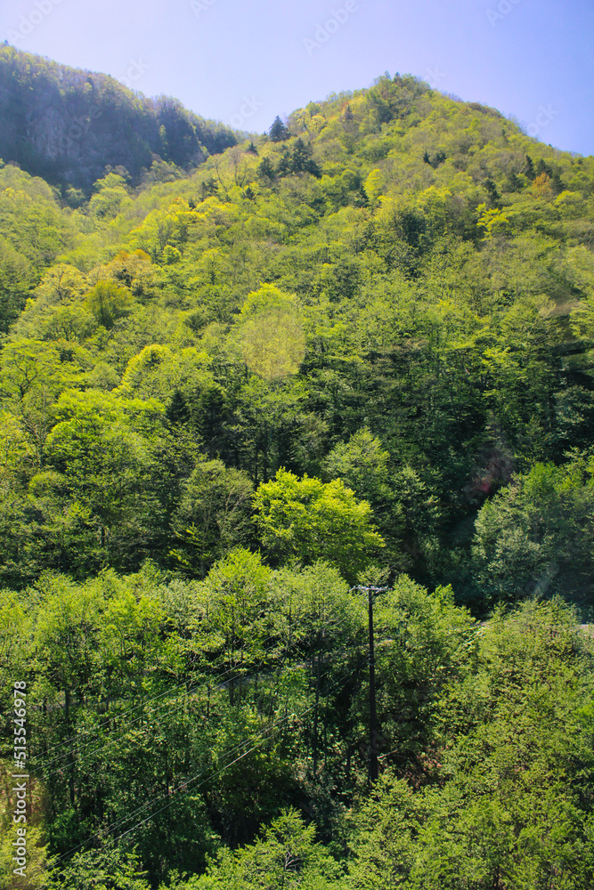 Mountains and trees in Daisetsuzan National Park on Hokkaido Island in the spring