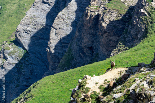 Diemigtal in der Schweiz photo