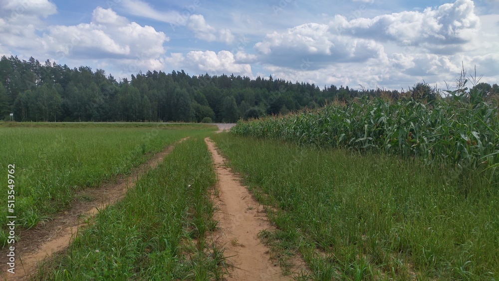 Between a grass meadow and a cornfield there is a dirt road that adjoins an asphalt highway. There is a forest growing behind the highway. The sky is blue with clouds