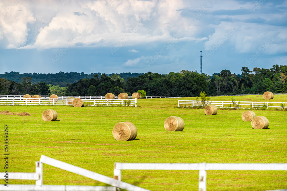 Hay roll bales on countryside field farm in Alachua in Florida, USA rural area with farmland meadow white picket fence background and stormy sunset sky clouds
