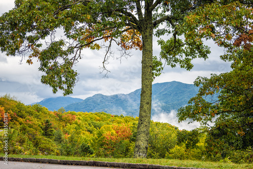 High angle view from near Richland Balsam overlook on Blue Ridge Appalachian mountains parkway in North Carolina with fall leaf colorful foliage and tree in foreground photo
