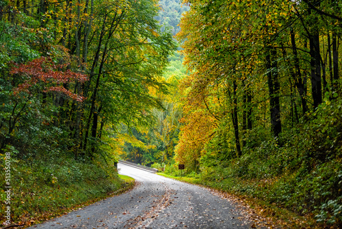 Photography Colorful yellow red green foliage in autumn fall season in North Carolina Blue R